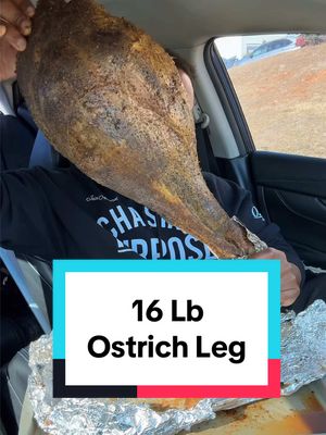 A post by @mr.chimetime on TikTok caption: This Was INSANE🤯🔥… (16lb Ostrich Leg🤯🤯) #ncfoodie #travelfoodie #mukbang #tastetest #foodreview #foodcritic #ostrich