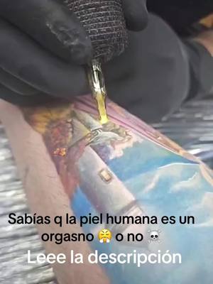 A post by @inkbelas_tatto on TikTok caption: Se que escribe órgano no orgasno 😂 si viniste a chusmear comenta el video los leo 😂