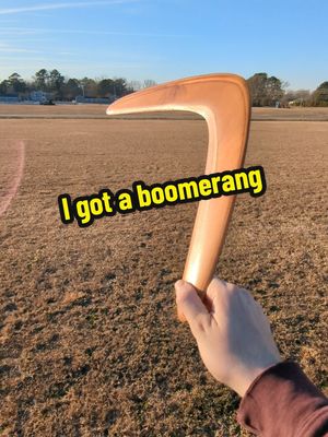 A post by @robinswords on TikTok caption: Please excuse me as I obsess over this for the next week #boomerang 