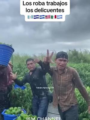 A post by @masensu93 on TikTok caption: Unamonos ! Unidos somos mas ! Unidos somos la voz que nunca callaran,##viral #inmigrantes #latinostiktok #videostar @carlos_eduardo_espina