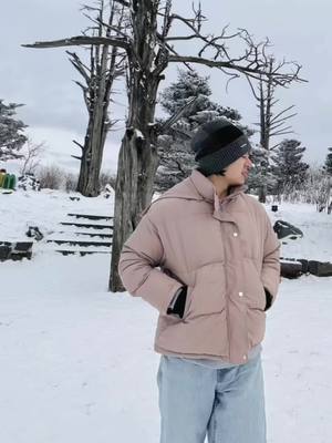 A post by @1017_chai on TikTok caption: Snow ⛄️#snow 