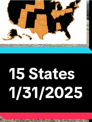 A post by @yaboyskey on TikTok caption: There are now 15 states that have filled for Bitcoin strategic reserves. This is your daily crypto news and analysis for 1/31/2025 #crypto #bitcoin #btc #charts #ta #news #yaboyskey #fyp #foryou #foryoupage 