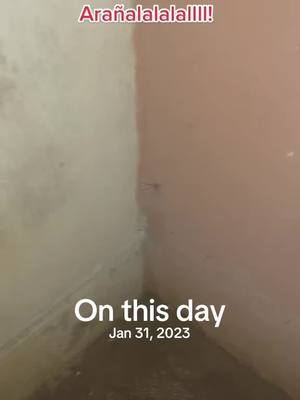 A post by @wwwaleslopez on TikTok caption: #onthisday 