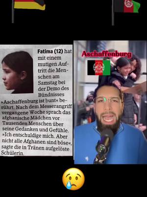 A post by @lerne.deutsch3 on TikTok caption: #duet with @General Qasim #aschaffenburg 