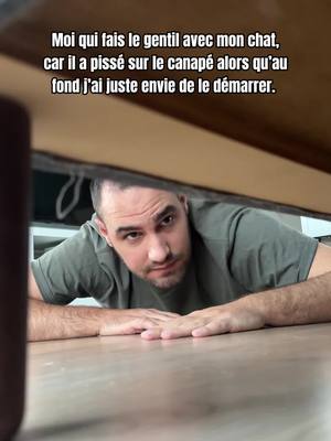 A post by @leptitmilo on TikTok caption: Lui sous le canapé 😅