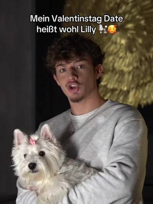 A post by @garrysecret on TikTok caption: Leider bin ich am Valentinstag bisher noch alleine aber dafür habe ich Lilly😍 #valentinstag #hund #fyp 