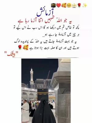 A post by @deen_e_islam222 on TikTok caption: #beshak💯🥀 #❤️❤️❤️❤️❤️🌷🌷💕💕🌷🌷🌷 