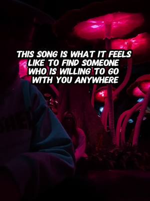 A post by @n3stalglc on TikTok caption: this song is what it feels like to find someone who is willing to go with you anywhere.. #Love #life #Relationship #relationships #explore #world #together 