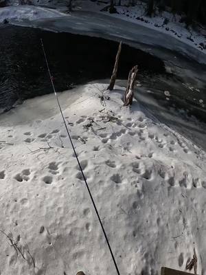 A post by @flyfishdelawhere on TikTok caption: Technique on how to fish a creek with ice on it. There will always be unfrozen spots where riffles are. The food source will drift under the ice where the apex of the ice is. Which is the point of the ice. Trout will hold under there for protection and pick food off. I don’t catch trout, so use this video for learning how to read a creek. #flyfishing #fishing #flyfisher #fishingtrout #fisherman #fishermen #fishinglife 