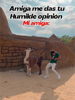 A post by @jordanrrosas on TikTok caption: Mi amiga y su humilde opinion jajaja 🤣 