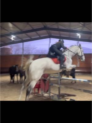 A post by @missbeckyjo on TikTok caption: A little jump yesterday evening with Igor🤍🌸 #fyp #horse #whatisgarri 