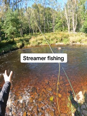 A post by @flyfishdelawhere on TikTok caption: Streamer fishing faster current. Trout love faster current. It’s where the bugs and minnows get all turned up. Trout take advantage of that and pick food off. #trout #streamerfishing #flyfisher #flyfishing #flyfishdelawhere #troutfly #howtostreamerfish #howtofish #fisherman #fishingtechnique 