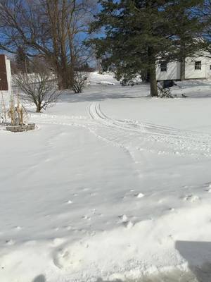 A post by @brutallyhonestag on TikTok caption: Babysitting farm dad style #farmtok#farmlife#farmer#fatherson #snow#cold#polaris 