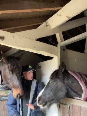 A post by @kieransmithequestrian on TikTok caption: The first tough week of 2025 but I am handling things so much better. You just gotta dance it out 🤷‍♂️  #danceitout #equestrian #horses #trending #fyp 