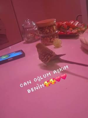 A post by @yarali.ceylan_60 on TikTok caption: #kesfettttttttttttkeşfetteyiz🇹🇷🇩🇪🇹🇷🥰🥰 #kesfettttttttttttkeşfetteyiz🇹🇷🇩🇪🇹🇷🥰🥰 