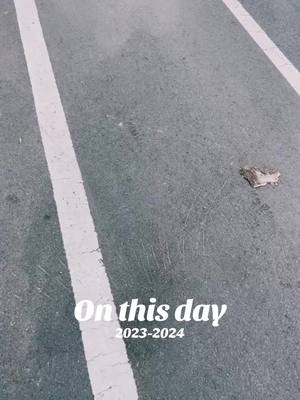 A post by @alenka.sestrenka on TikTok caption: #onthisday 