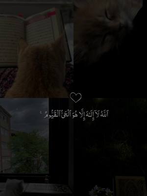 A post by @r7lff on TikTok caption: ارح سمعك وقلبك للقارئ إسلام صبحي♡#foryou #quran #foryoupage #قران_كريم #اسلام_صبحي ♡