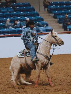 A post by @teamropingjournal on TikTok caption: 💎Yellow Diamond💎 can sure pull off that fancy look with @Junior Nogueira- Official. Gotta be that @Equinety. We had funnnnn at the @American Quarter Horse Assn show at the @fwssr so stand by for more food watching. 