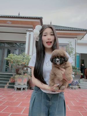 A post by @besut0811 on TikTok caption: Con báo về nhà 🤣🤣🤣@Thu Trang💚 