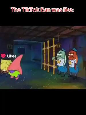 A post by @jackrussel453 on TikTok caption: #spongebobsquarepants 