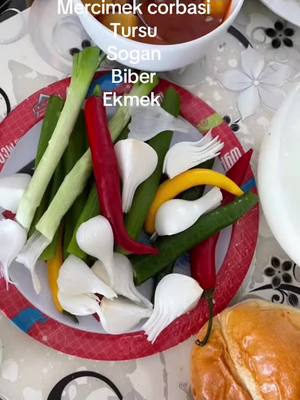 A post by @can_memo27 on TikTok caption: #erinnerung 