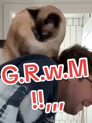 A post by @mervthecat on TikTok caption: #grwm !!! GET REady witH,, meef,, LMOA #bagagwa #catsoftiktok #theweeknd #sportscar #cats