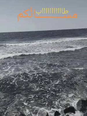 A post by @essa_aiashy on TikTok caption: طاااااااااااب مسااااااااائكم بكل خير 