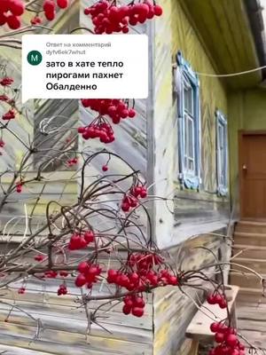 A post by @tanushka_13_rus on TikTok caption: #ВэтотДень #2022 #воспоминания #