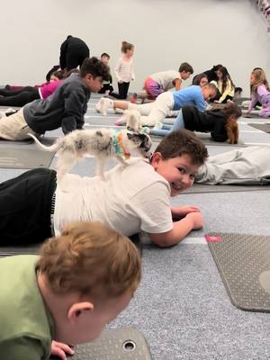 A post by @ilirian_cooks on TikTok caption: Puppy yoga in New York! #greatneck #ny #yoga #fyp #adorable #kids #family #fitness @Tiny Cuties @Studio_efitness 