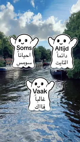 A post by @raymonddillmanalv on TikTok caption: #تعليم_اللغة_الهولندية #للمبتدئين #نتعلم_معاً #كل_يوم_جملة #الشعب_الصيني_ماله_حل😂😂 #اكسبلور 