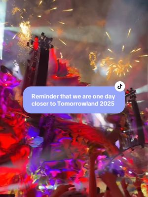 A post by @lunchboxpacks on TikTok caption: the countdown is on, are you going to weekend 1 or weekend 2? 🥳 #tomorrowland #tml #edmtiktok #edmfestivals #ravers 