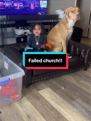 A post by @shaunathebarber on TikTok caption: Another failed church service!! Grandma is getting tired of talking!! #Ace #bishopace #pitbullsoftiktok #dogsoftiktok #fyp #aceandgrandma #grandmaandace #foryourpage #dogofgod #papijay #gforgodson 