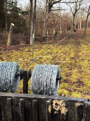 A post by @cattlemenfamilyfarms on TikTok caption: #fence #barbedwire #barbwire #farm #ranch