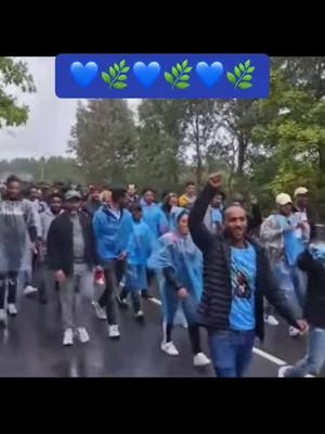 A post by @mosob_gezana on TikTok caption: #brgednhameduብርጌድንሓመዱ✊🏿💙 #tigraytiktok 