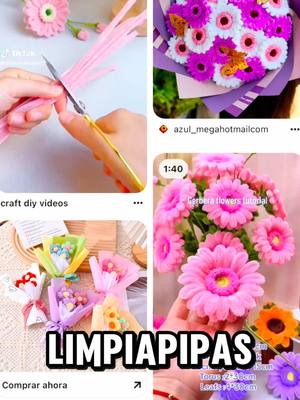 A post by @mymemijangos on TikTok caption: Flores de limpiapipas #fyp #limpiapipas #manualidades 