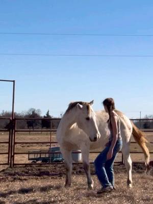 A post by @hensleerodeo102 on TikTok caption: My favorite part of ground work💙