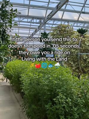 A post by @adventuresbypotatie on TikTok caption: so when's your trip? 🌐❤️ #livingwiththeland #epcot #theland #disney #wdw 