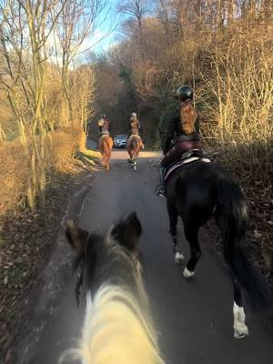 A post by @missbeckyjo on TikTok caption: Winter hacks🥰 #fyp #cavallo #horse #perte 