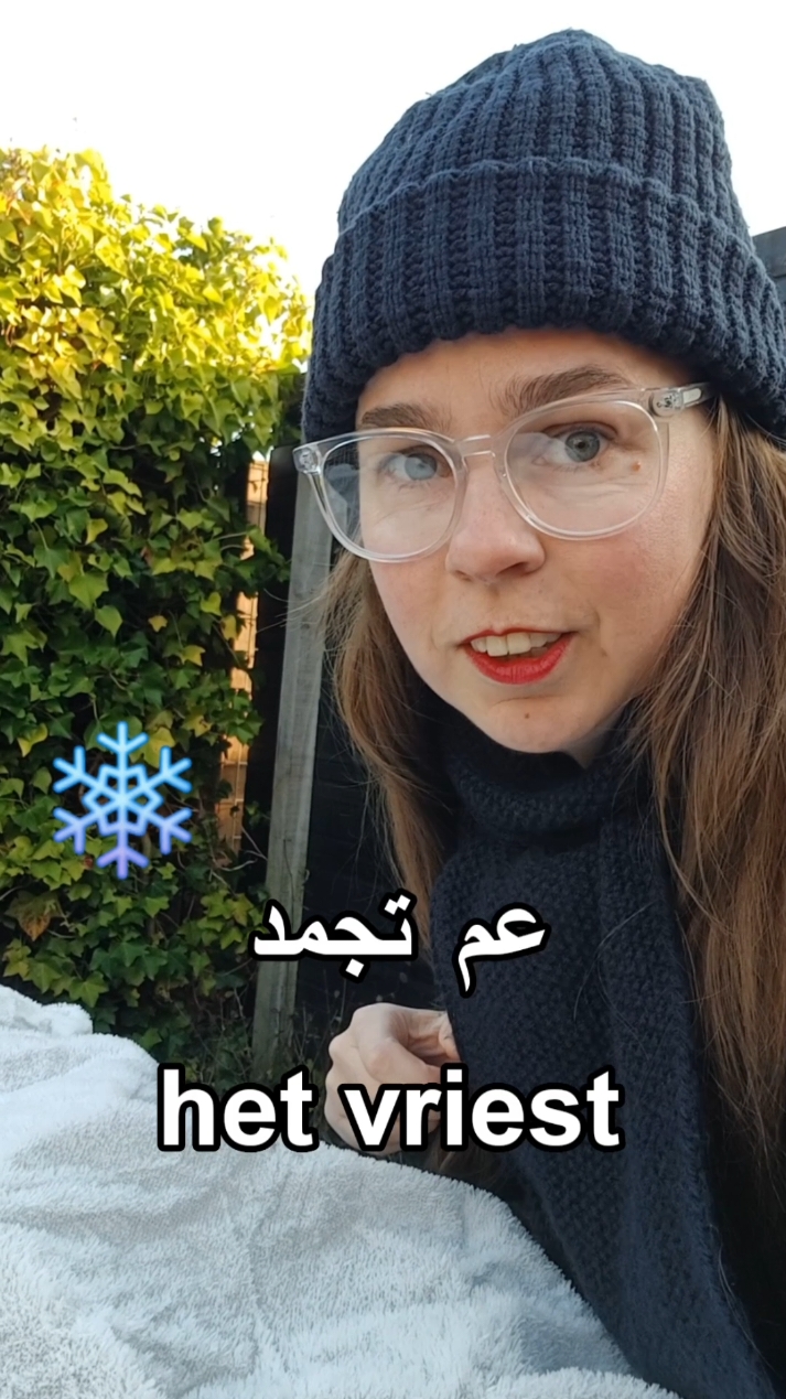 A post by @dutch_arabic_club on TikTok caption: #تعلم #هولندا #nederlands 