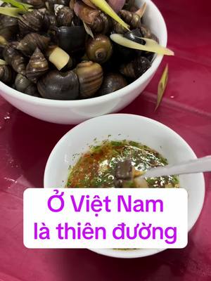 A post by @linh89kr on TikTok caption: #việt nam là thiên đường.