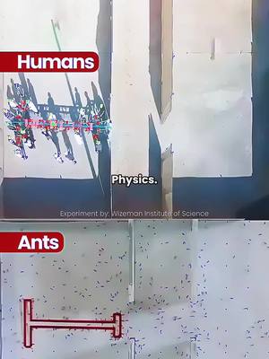 A post by @scare.prank.smiles on TikTok caption: #physics #fisica #science #amazing #slideshow #physicsexperiment #paratii #fypシ゚viral 