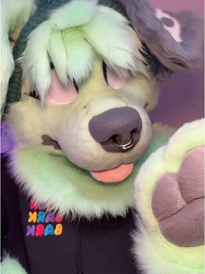 A post by @matcha_mayhem_ on TikTok caption: 🤷🏻‍♂️ #fyp #uk #furry #fursuit 