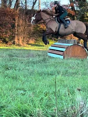 A post by @clo_eventing on TikTok caption: Retour sur une seance de cross avec nous 🥰 #horse #cross #obstacles #eventing #stage 