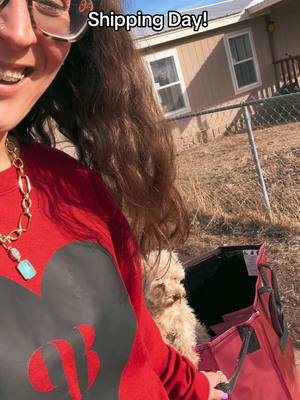 A post by @happiebox on TikTok caption: Shipping day with me and Fritz! #BP #jewelry #orders #shippingcontainerhouse #fyf #fyp #trending #busybeefizzery 