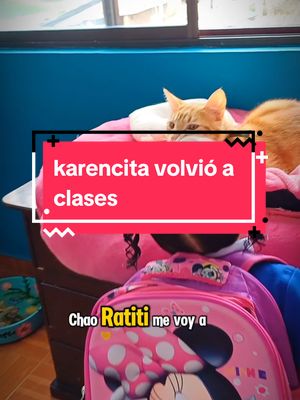 A post by @tommyelgatomono on TikTok caption: vamos a extrañar a karencita en las mañanas así que vamos aprovechar el tiempo durmiendo at Tommy 😆#gatitos #mascotas #michis 