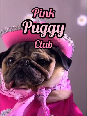 A post by @dougthepug on TikTok caption: PINK PUGGY CLUB 🐎💕 @chappell roan  #grammys #chappell #pinkponyclub 