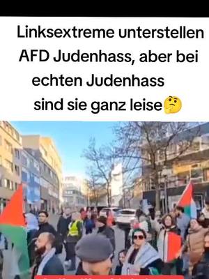 A post by @deutschlandvereint on TikTok