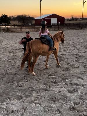 A post by @draggincircles on TikTok caption: Joke fails #ridinginstructor #ridinginstructorproblems #lessonhorses #ridinglessons #dadjokes 