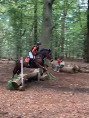 A post by @nino_de_pony on TikTok caption: Binnenkort weer oefencross❤️ #nino_de_pony #pony #itsmemrnino #paard #viral #zelfopgelijd 