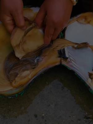 A post by @abdoulfdiacko on TikTok caption: #☝️ 
